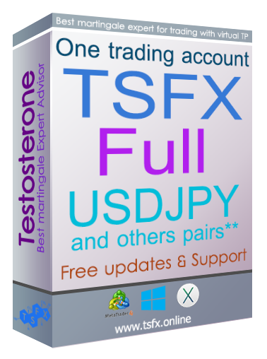 TSFX Online USDJPY